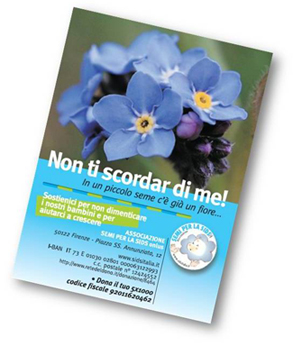 I nostri semini di Nontiscordardime